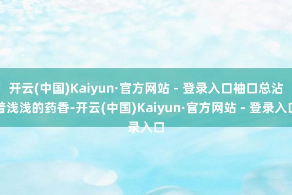 开云(中国)Kaiyun·官方网站 - 登录入口袖口总沾着浅