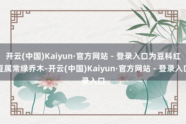 开云(中国)Kaiyun·官方网站 - 登录入口为豆科红豆属常绿乔木-开云(中国)Kaiyun·官方网站 - 登录入口