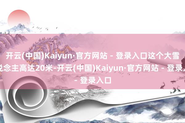 开云(中国)Kaiyun·官方网站 - 登录入口这个大雪东说