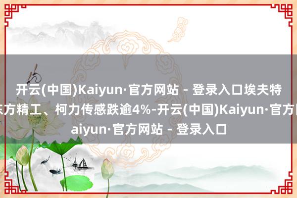 开云(中国)Kaiyun·官方网站 - 登录入口埃夫特、巨轮