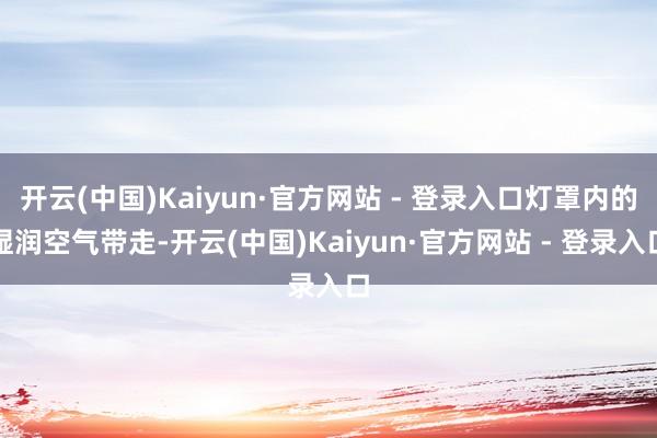 开云(中国)Kaiyun·官方网站 - 登录入口灯罩内的湿润